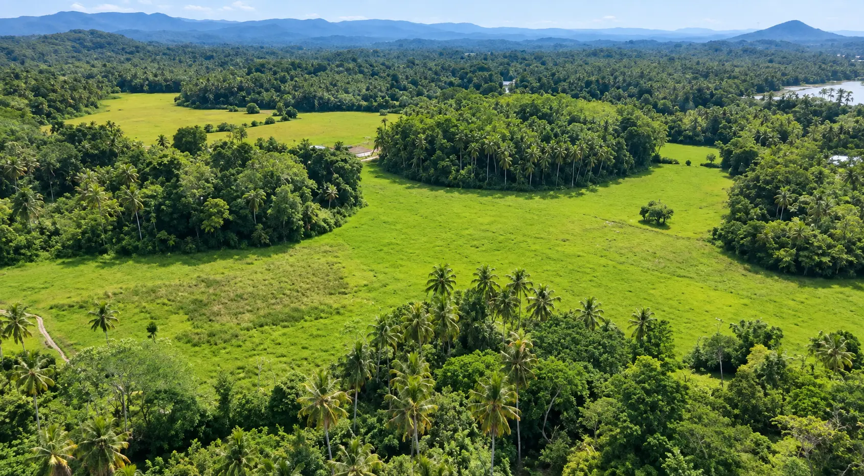 An aerial view of lush tropical meadows, palm clusters and distant blue mountains