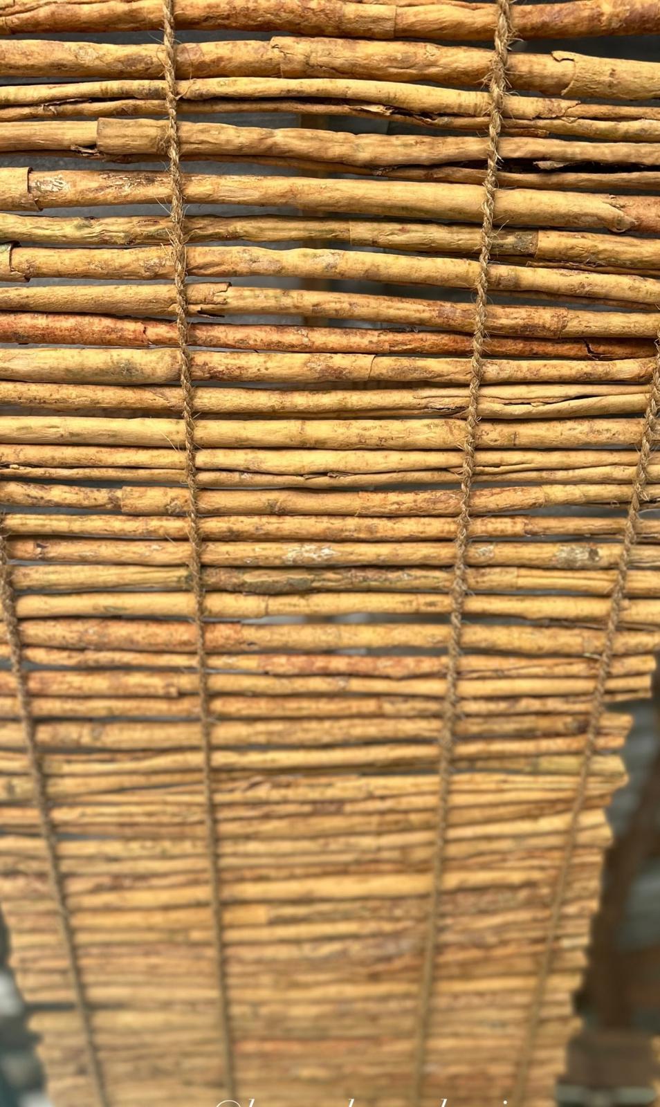 Cinnamon quills and bark curls